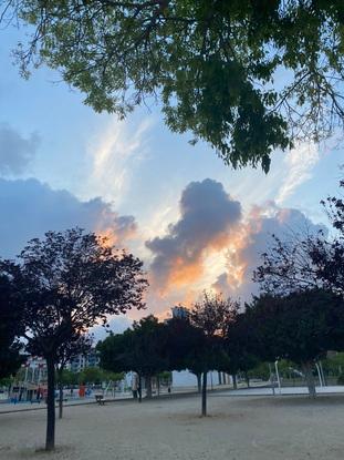 Paseos por el Parc Central🐾🌅