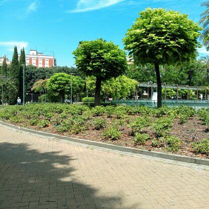 Parque cerca de casa