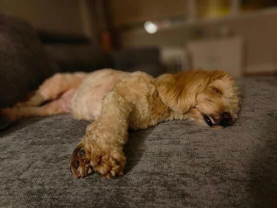 Relax