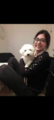 Chicha, la mascota de una amiga