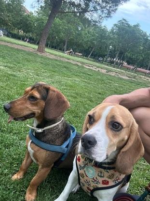 En el parque