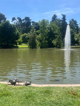 El parque