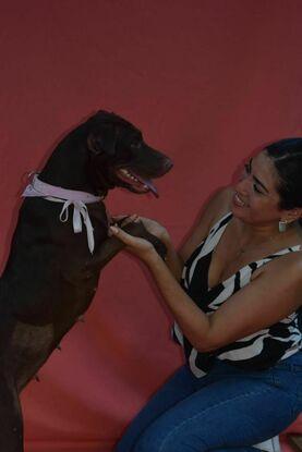 Daisy antes de ser adoptada