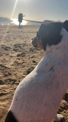 Playa a 1km