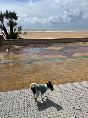Playa donde paseamos