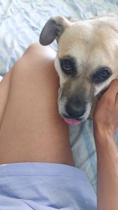 Rina, cariño puro 