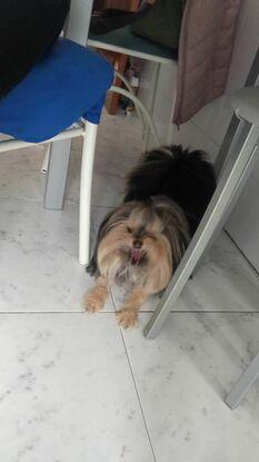 Coco