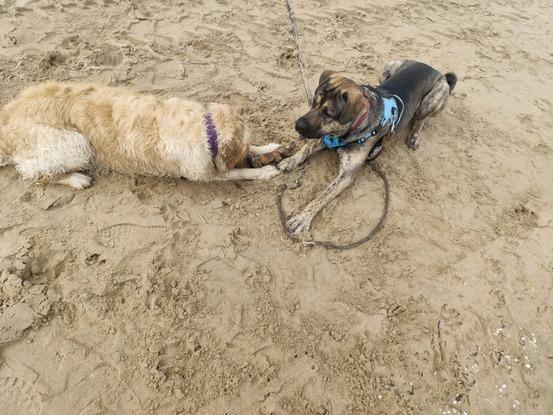 Ona e Irún en la playa