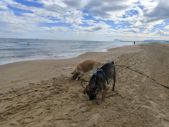 Ona e Irún en la playa