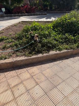 Y parques cerca🤍