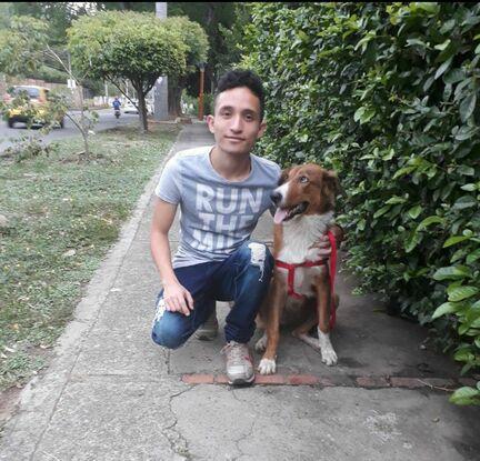 Mi perro fallezo por cancer Max