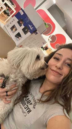 El perrito con el que trabajo