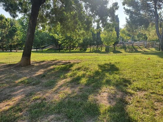 Parque cerca de casa