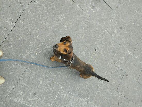 Kalma y yo de paseo
