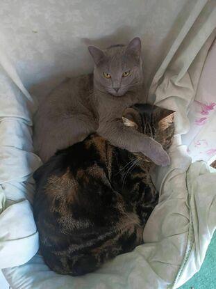 Renato y Nerea
