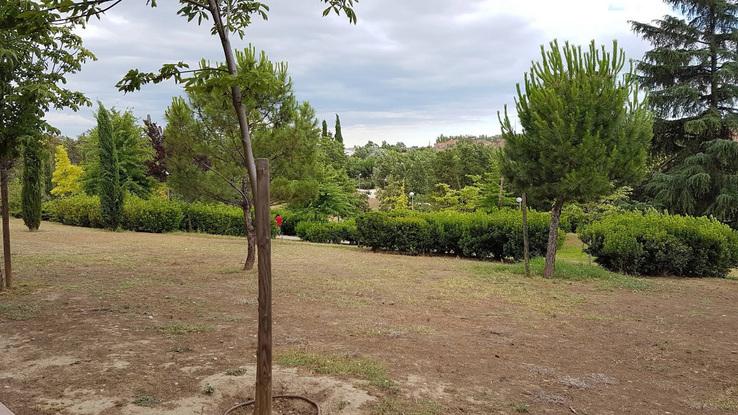 parque cercano