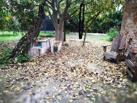 nuestra zona exterior en otoño