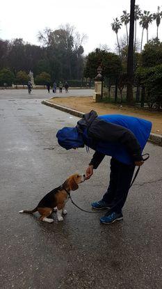 Enseñando a Pepo a sentarse.