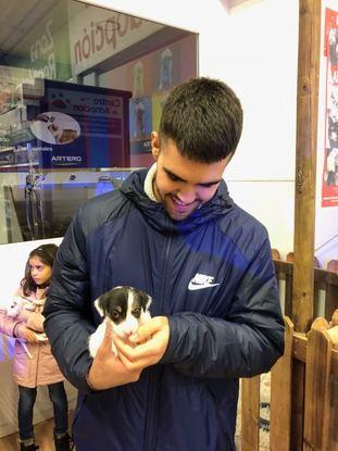 Con un cachorro en adopción.