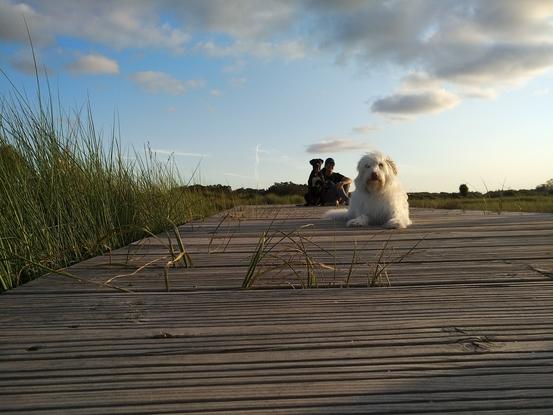 Nos encanta pasear