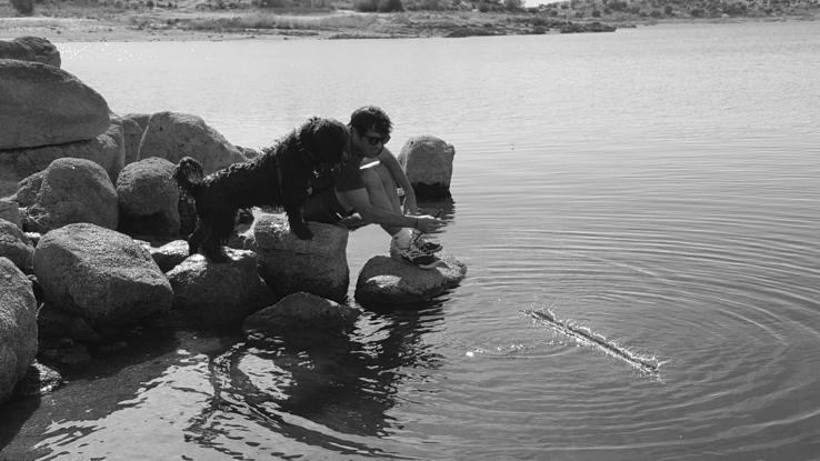 Al agua patos