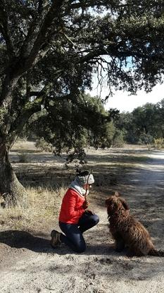 Paseos por el campo