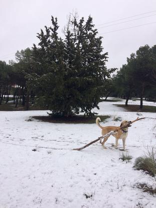 Disfrutando de la nieve