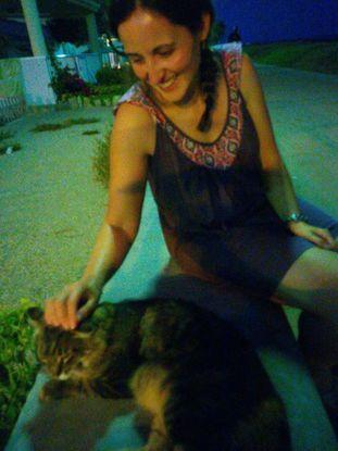 Una gatita callejera muy amorosa