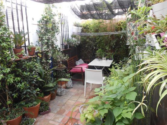 El patio, perfecto en los veranos