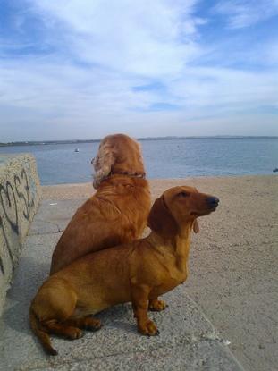 CLETA con LUNA