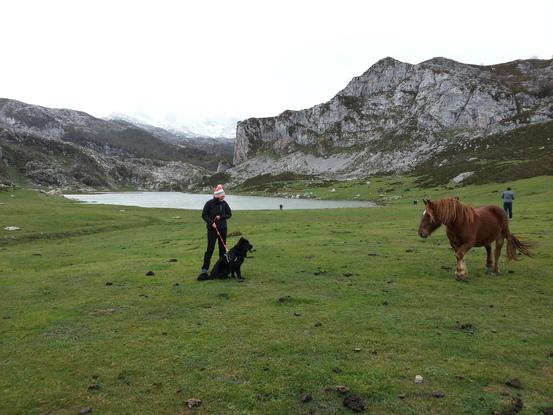 En los lagos