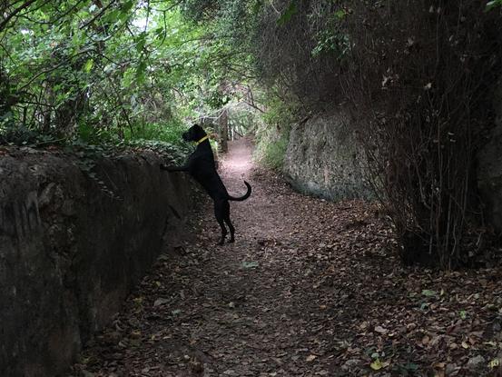 Ruta para paseo