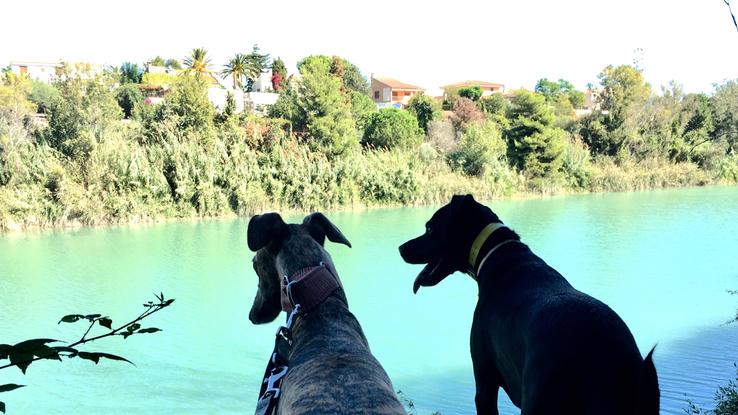 Paseo bordeando el río 