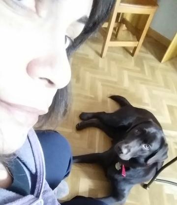 Selfie con Brownie