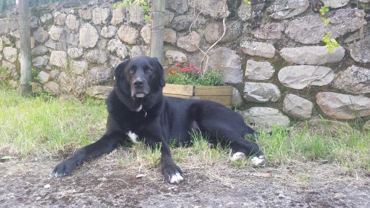 Ella en el jardín