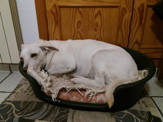 Tina descansando