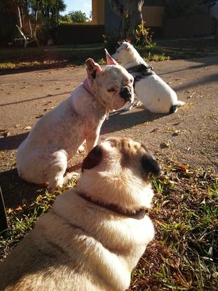 Tomando el sol...