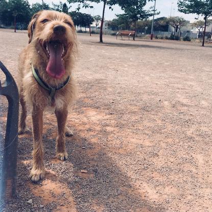 Feliz por estar en su parque preferido 