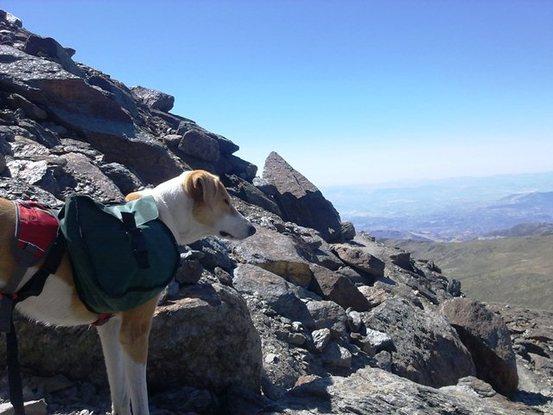 Luna en Sierra Navada