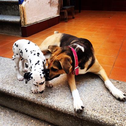 Vilma y Noa