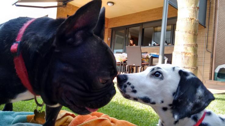 Nano y Noa