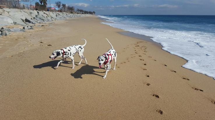 Noa y Nina