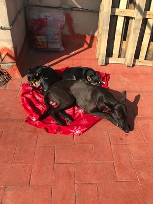 Siesta en al terraza