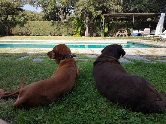 T&T . Relax sumertime.