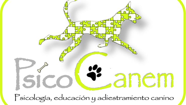 logo psicocanem