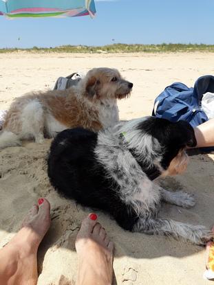 Y también a la playa