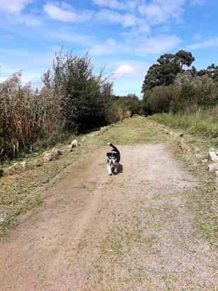 Paseo por las marismas blancas, cercano a casa.