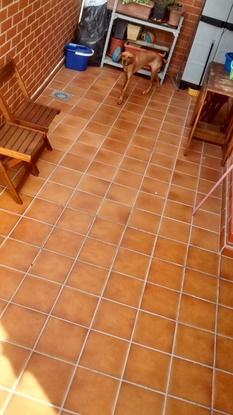 Terraza uno