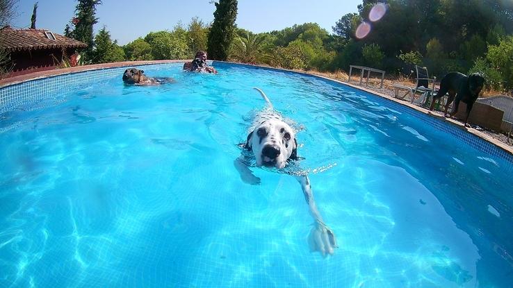 Tarde de piscina