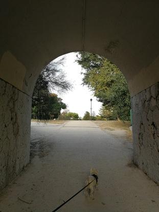 De paseo con Gaspar en la entrada del parque Enrique Tierno Galván.